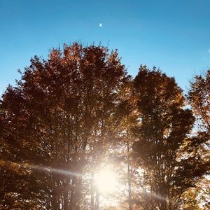 Meet your Posher, Allyson